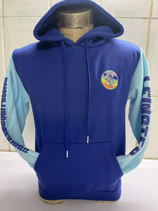 PRE-ORDER Camán to Leinster July 16th 2025 Hoodie (with names back print)