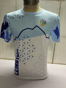 IN STOCK Camán to Leinster 2025 T-Shirt
