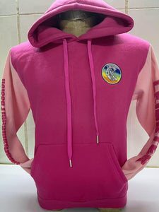 PRE-ORDER Camán to Leinster July 16th 2025 Hoodie (with names back print)
