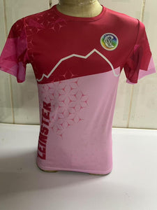 IN STOCK Camán to Leinster 2025 T-Shirt