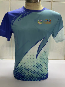 IN STOCK Camán to Leinster T-Shirt