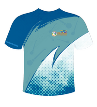 Load image into Gallery viewer, IN STOCK Camán to Leinster T-Shirt