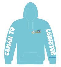 Load image into Gallery viewer, EXTRA ORDER Camán to Leinster July 17th 2024 Hoodie (with names back print)