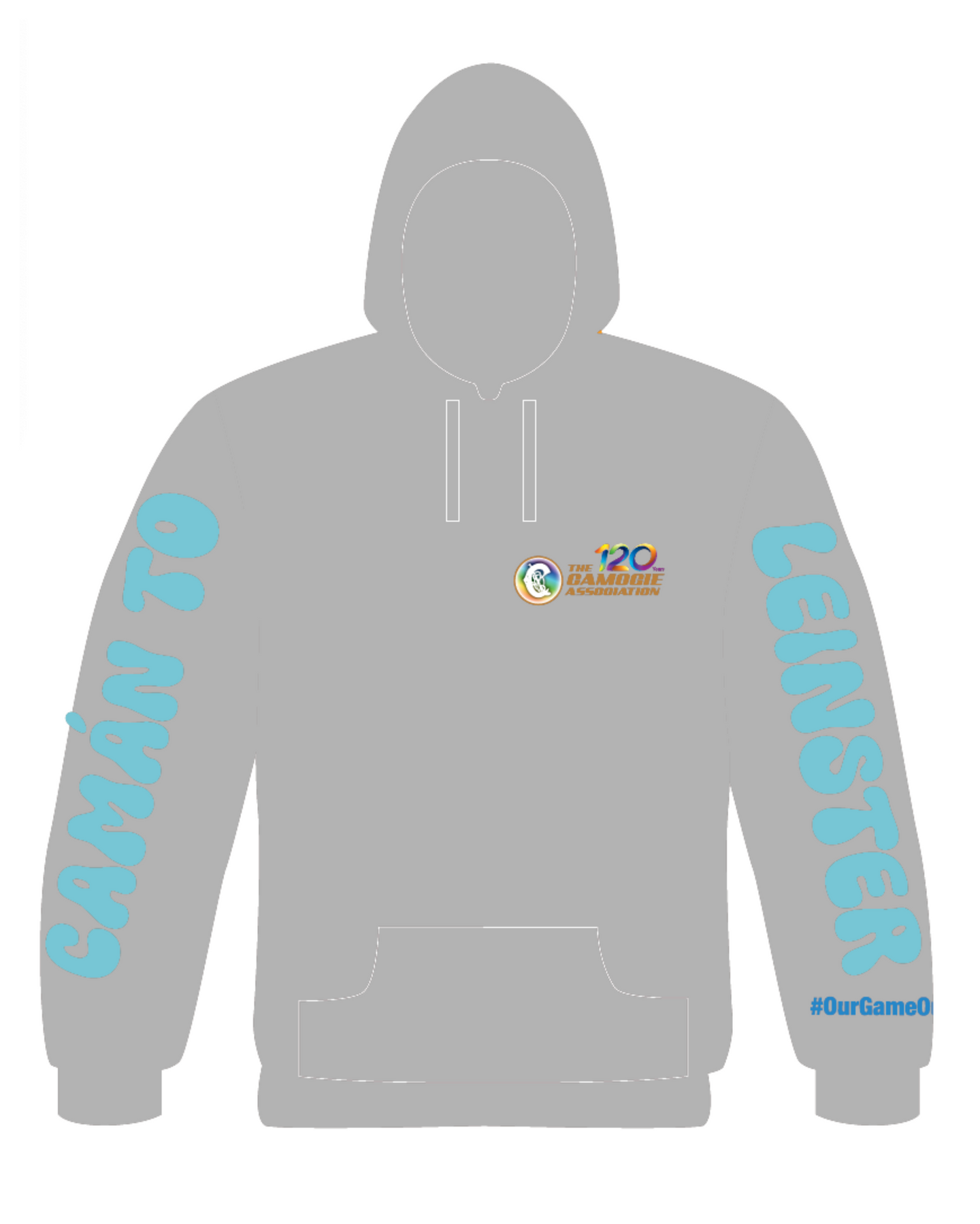 IN STOCK Camán to Leinster July 17th 2024 Hoodie (with names back print)