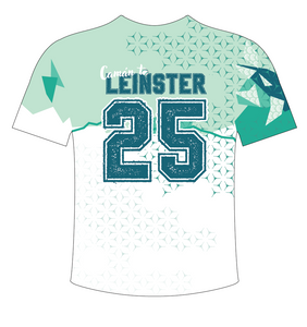 IN STOCK Camán to Leinster 2025 T-Shirt