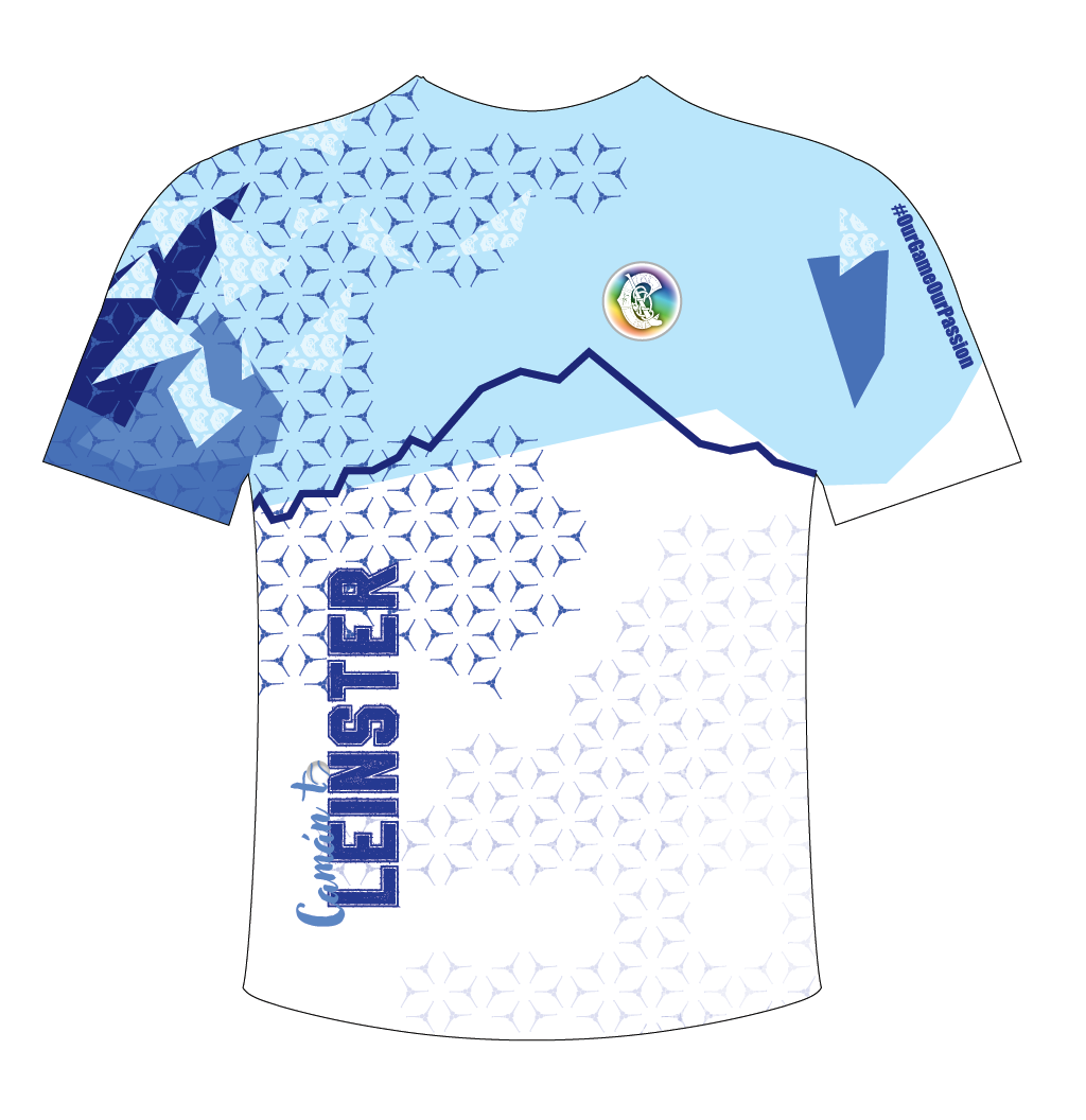 IN STOCK Camán to Leinster 2025 T-Shirt