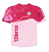 Load image into Gallery viewer, IN STOCK Camán to Leinster 2025 T-Shirt