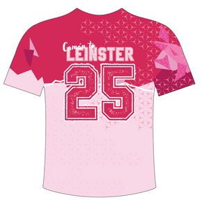 IN STOCK Camán to Leinster 2025 T-Shirt