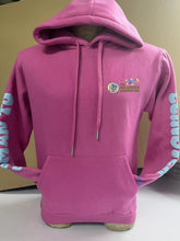 Load image into Gallery viewer, IN STOCK Camán to Leinster July 17th 2024 Hoodie (with names back print)